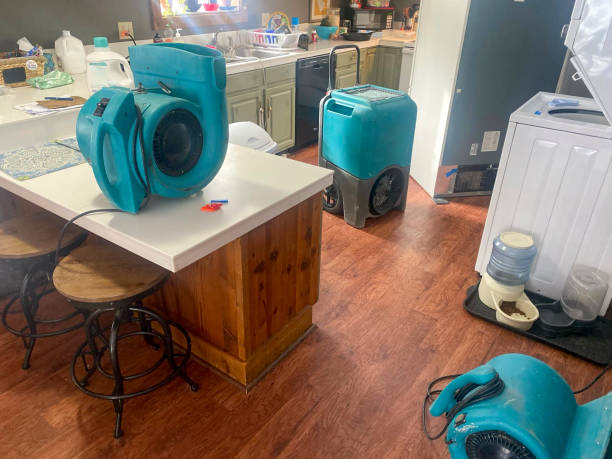 Best 24-hour water damage restoration  in Dillsboro, IN