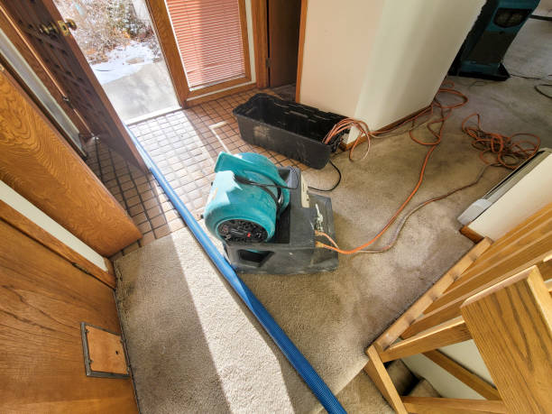 Best Flood restoration services  in Dillsboro, IN