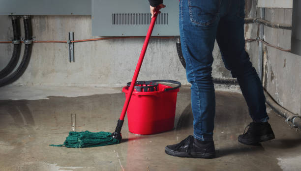 Best Local water damage restoration  in Dillsboro, IN