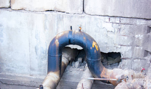 Best Water damage restoration near me  in Dillsboro, IN